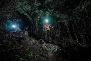 BIB: 
                            <button type="button" onclick="openModal(25099971)" class="btn btn-primary btn-sm float-right btn-popup" data-toggle="modal" data-target=".modal-high-quality">
                        <i class="fas fa-shopping-cart"></i> Add to Cart
                    </button>
                                            <button type="button" onclick="isThisMe(25099971, true)" class="btn btn-success btn-sm float-right btn-popup btn-isme hidden" data-toggle="tooltip" data-placement="bottom" title="นี่คือรูปของคุณใช่ไหม คลิกที่นี่เพื่อเอาเข้าอัลบั้ม">
                        <i class="fas fa-plus"></i> Add to album
                    </button>
                    <button type="button" onclick="isThisMe(25099971, false)" class="btn btn-warning btn-sm float-right btn-popup btn-isnotme hidden">
                        <i class="fas fa-ban"></i> Remove from album
                    </button>